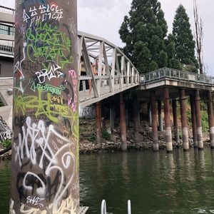 Meet your Posher, Jadon